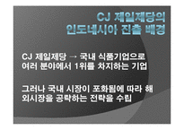 [국제재무] CJ 제일제당 인도네시아 해외직접투자-16