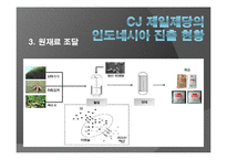 [국제재무] CJ 제일제당 인도네시아 해외직접투자-20