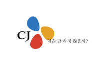 [홍보기획론] CJ의 굴업도 골프장 친환경 개발 홍보 방안-8