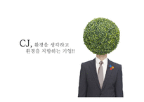 [홍보기획론] CJ의 굴업도 골프장 친환경 개발 홍보 방안-11