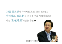 [홍보기획론] CJ의 굴업도 골프장 친환경 개발 홍보 방안-13
