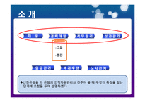 [인적자원관리] 신한은행 인적자원관리-6