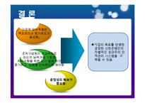 [인적자원관리] 신한은행 인적자원관리-16