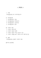 [한국정부론] 새마을운동과 사회적 자본-2