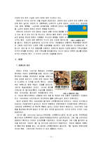[국제정치] 아프리카의 스위스, 르완다의 정치, 경제, 전망-3