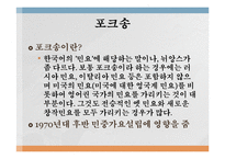 [대중문화] 70년대 청년문화의 시작과 발전-4