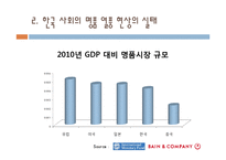 한국 사회의 명품 소비실태와 원인-11