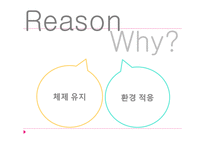 [사회학] 북한의 교육(사회주의 교육)-10