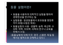 [생명윤리] 동물 실험의 찬반 의견과 피해 사례 및 대체 실험 방안-3