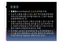 [생명윤리] 동물 실험의 찬반 의견과 피해 사례 및 대체 실험 방안-7