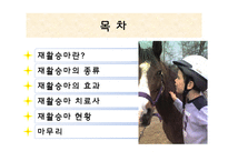 [재활치료] 승마를 활용한 재활-재활승마-2