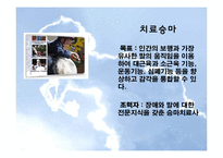 [재활치료] 승마를 활용한 재활-재활승마-5