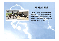 [재활치료] 승마를 활용한 재활-재활승마-7