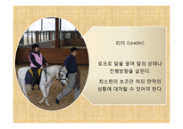 [재활치료] 승마를 활용한 재활-재활승마-12