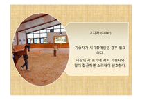 [재활치료] 승마를 활용한 재활-재활승마-14