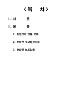 [고전소설론] 고전소설의 인물유형 탐구-춘향전을 중심으로-2