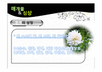 [영어영문학] 김란영 토담(Clay Walls) 작품분석-17