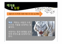 [영어영문학] 김란영 토담(Clay Walls) 작품분석-19