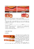 [영양학] 콜레스테롤이 인체에 미치는 영향-3