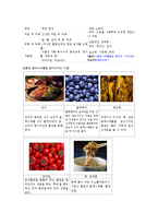 [영양학] 콜레스테롤이 인체에 미치는 영향-6