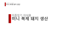 [응용생물학] 이종장기 이식용 미니 복제 돼지 생산-2