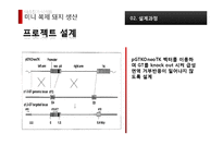[응용생물학] 이종장기 이식용 미니 복제 돼지 생산-13