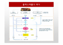 [영양학] 콜레스테롤이 인체에 미치는 영향-5