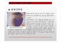 [영양학] 콜레스테롤이 인체에 미치는 영향-6