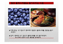 [영양학] 콜레스테롤이 인체에 미치는 영향-14