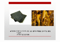 [영양학] 콜레스테롤이 인체에 미치는 영향-15