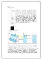 [공학] 단백질 분리 정제 실험-특정단백질(p-ERK)가 phosphorylation 되었을 때 cell 내에서의 발현 정도-7