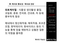 채식의 이점과 실천방안-12
