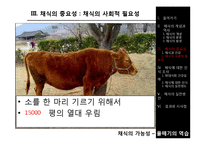 채식의 이점과 실천방안-17