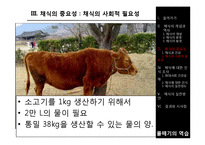 채식의 이점과 실천방안-18