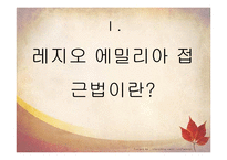 레지오 에밀리아 접근법-3