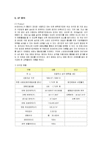 [마케팅] SK와이번스의 마케팅 전략 분석-9