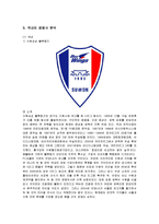 [마케팅] FC서울의 마케팅 분석과 전략 방안-4