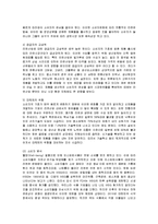 [마케팅] 삼양라면의 마케팅 전략 분석-3