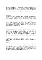 [마케팅] 삼양라면의 마케팅 전략 분석-5