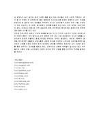 [마케팅] 삼양라면의 마케팅 전략 분석-13