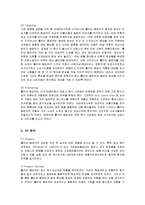 [마케팅] 아모레퍼시픽 롤리타렘피카의 마케팅 전략 분석-10