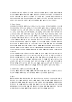 [마케팅] 아모레퍼시픽 롤리타렘피카의 마케팅 전략 분석-11