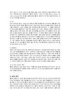 [마케팅] 아모레퍼시픽 롤리타렘피카의 마케팅 전략 분석-15