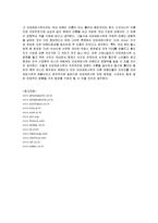 [마케팅] 아모레퍼시픽 롤리타렘피카의 마케팅 전략 분석-17