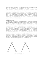 [발달심리] 피아제의 분류에 대한 보고서 및 유목의 아동과의 관계와 유포섭실험-5