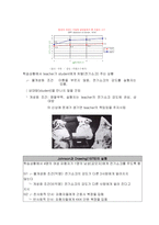 [심리학] 공격성의 특성과 양상-12