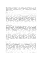 [광고론] 성적소구광고-3