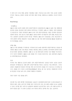 [브랜드] 농심 vs 삼양 -브랜드요소분석을 중심으로-4