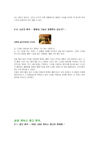 [광고기획서] 삼성 케녹스 α5 광고기획서-4
