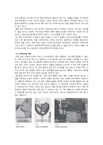 [광고학] 잠재의식-4